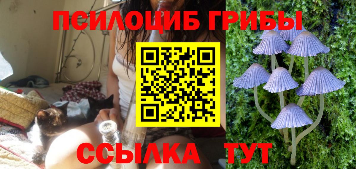 Псилоцибиновые грибы прущие грибы  Псилоцибиновые грибы мухоморы  Вход с VPN  наркошоп  Междуреченск 